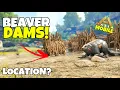 All Beaver Dam Locations in The Island Ark Mobile - How to Find Beaver Dams in Ark Mobile Ultimate
