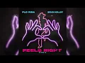 Download Lagu Flo Rida, Brian Kelley - Feels Right (I Love It)