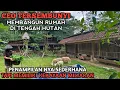 CEO Tersembunyi Bangun Rumah Di Tengah Hutan Penampilan Seperti Orang Miskin Tapi Uang Nya Milyaran