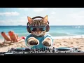 DJ Miaww - House Beach Party 2025 | Ultimate Sunset \u0026 Dance Vibes with The Coolest Cat DJ 🌅🎉