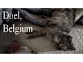 DOEL, Belgium