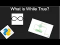 What is While True Python Programming