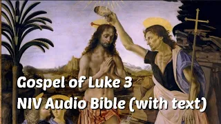 Luke 3 NIV Bible with text