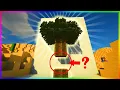 Why You Never Leave Trees Leaves Floating DESTRUCTION