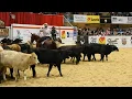 Cody Johnson competes in horse cutting