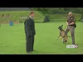 Ask the Sheriff Training with the Baldwin County K9 Unit