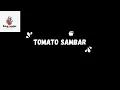 Bachelor Sambar.. / Easy Tomato sambar/ Thakkali sambar with out dal / masala powder