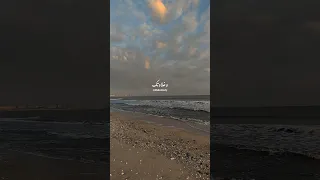 أنا م غرم بعنيكي السود خالد الصيفي عمرو دياب وغلاوتك رومانسي حالات واتس حب 