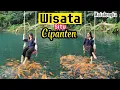 Wisata Situ Cipanten Majalengka | Wisata Majalengka | Wisata Terbaru Danau Ikan