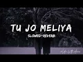 Tu Jo Mileya (Lofi Music) | Juss X Mixsingh | Lofii With Aviii 💞✨
