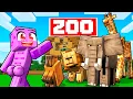 Download Lagu Aku Membangun ZOO untuk HEWAN NYATA di Minecraft 🦁🌳