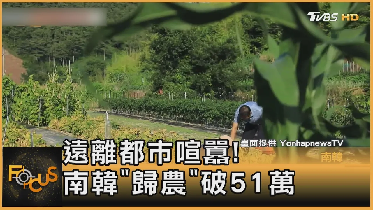 遠離都市喧囂! 南韓「歸農」破51萬｜方念華｜FOCUS全球新聞 20220809