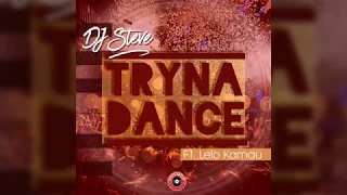 dj steve ft lelo kamau tryna dance