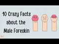 Download Lagu 10 Crazy Facts about the Male Foreskin 🍆 Puberty Explainer Video