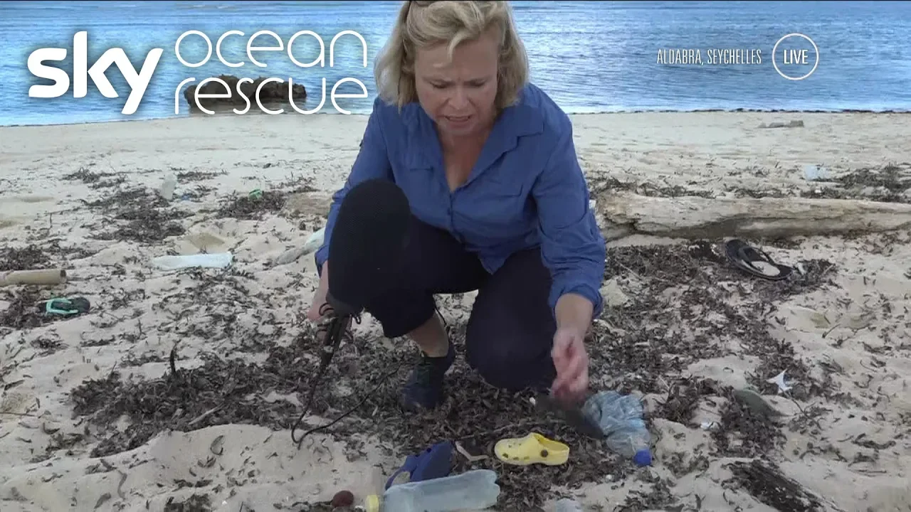 Deep Ocean Live: Day 2 in full