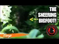 The Sneering Bigfoot Scott Carpenter Footage