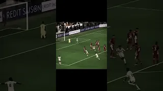 ابو الشامات 