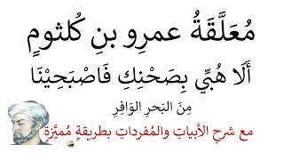 معلقة عمرو بن كلثوم مع شرح المفردات والأبيات بطريقة مميزة 