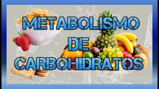 Metabolismo de carbohidratos #BIOQUÍMICA