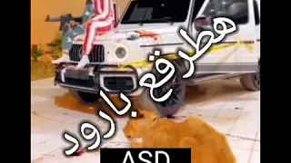 سلاحى فى جيوبى والقلب مشدود 
