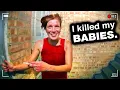 Download Lagu Moment After Finding Mom Brutally Executed The Babies