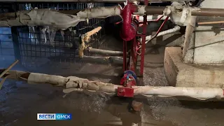 В Омске на ул. Олимпийской люди задыхаются от пара