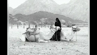 قصة الراعية سعدى ورجل من الحنشل 