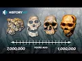 A Crash Course In Human Evolution With Anthropologist Chris Stringer