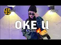 Download Lagu x OKE U 🔥Ylx Slnk Rmx Terbaru🌴
