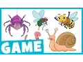 Learn Bugs for Kids What Is It Game for Kids Maple Leaf Learning