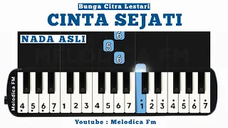 cinta sejati tutorial pianika pemula