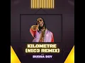 Download Lagu Burna Boy - Kilometre (NIC3 Remix)
