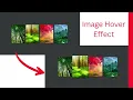 How to create a image hover effect using html and css image zoom on hover Html Css Frontend