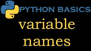 Python Basics 2 Legal and Illegal Variable Names