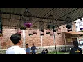 LOMBA SOGOK ONTONG TEGAL (SKMB)
