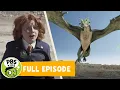 Odd Squad FULL EPISODE The Sandwich Project Wax On Wax Odd PBS KIDS