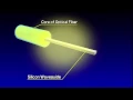 Download Lagu Silicon Photonics