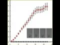 Wallace Marshall - Flagellar length fluctuations follow confined random walk