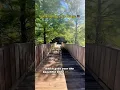 Download Lagu Celebration Florida Walking Paths