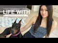 WHAT S IT LIKE OWNING A DOBERMAN PINSCHER