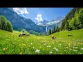 Download Lagu Soothing Piano Melodies to Heal a Tired Heart 🌿 Gentle Music for Reflection and Soothe Your Soul