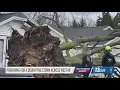 Consumers Energy prepares for potential power outages across Michigan