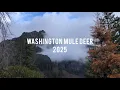 WA Mule Deer Hunt 2025