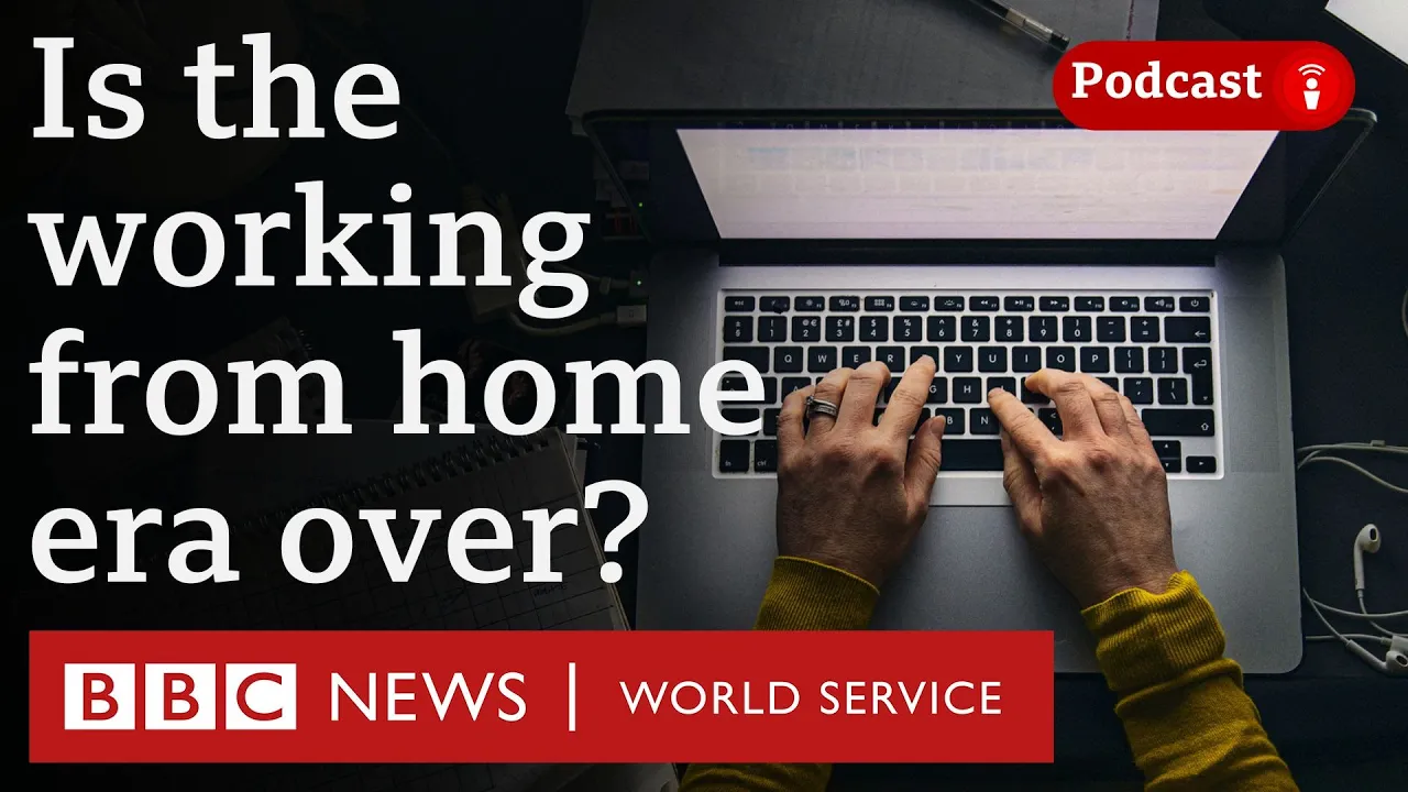 Outline Video What is the future of working from home? - The Global Story podcast, BBC World Service