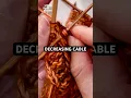 How to Hide your Cable Decrease