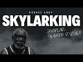 SKYLARKING HORACE ANDY - [[DUBPLATE WARRIOR SELEKTA]]