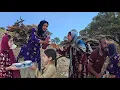 Download Lagu Nomadic Life: Leila meets Shaaban's family and collects firewood for cooking