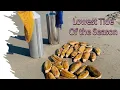 Razor Clam Digging Tips and Tricks