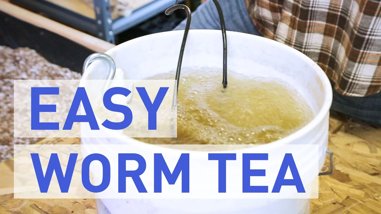 How To Make Worm Tea