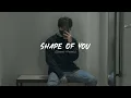 Download Lagu Shape Of You - Ed Sheeran (slowed+reverb)